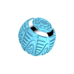 Wellcare Vibration Ball Blue